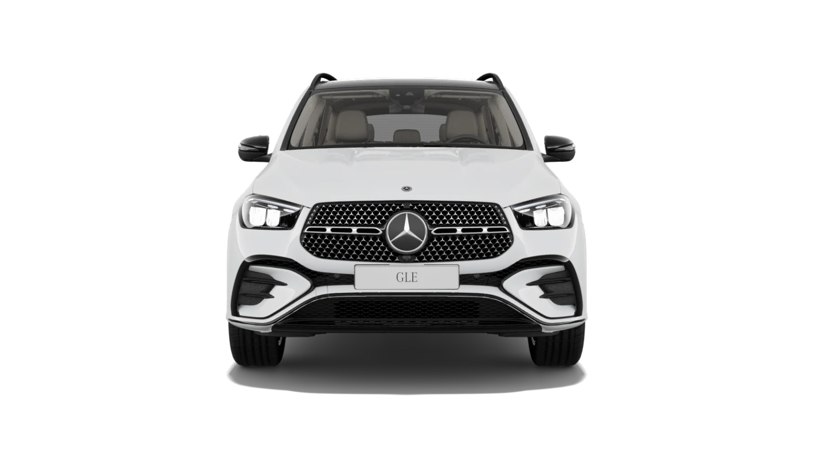 GLE photo 2