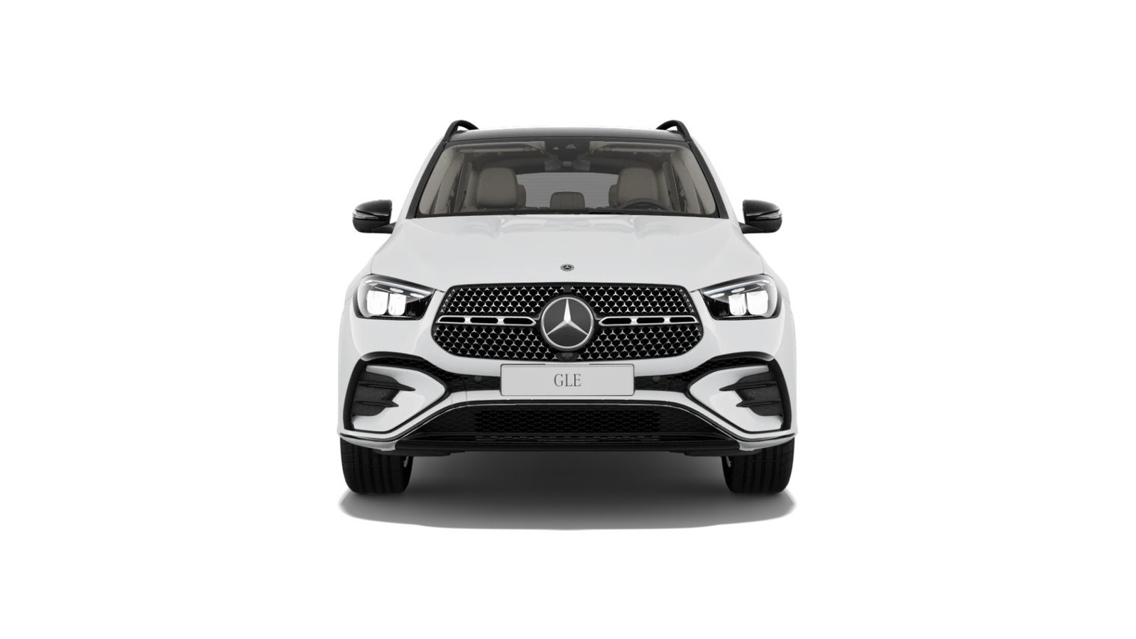 GLE photo 2