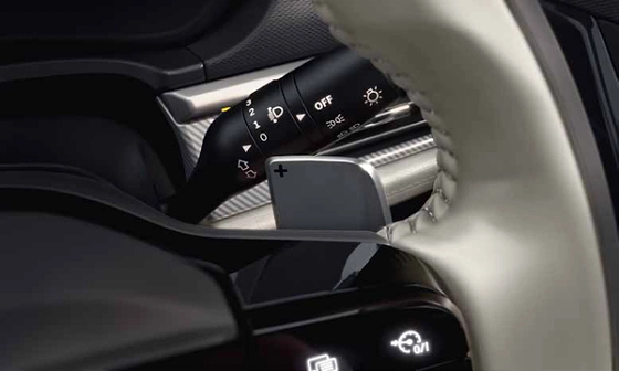 Tata Curvv, Paddle shifters bring responsive manual control to the 7-speed DCA.