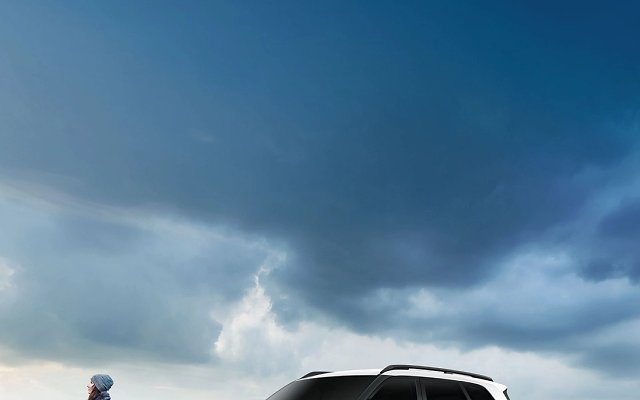 Hector Tomahawk PHEV photo 11
