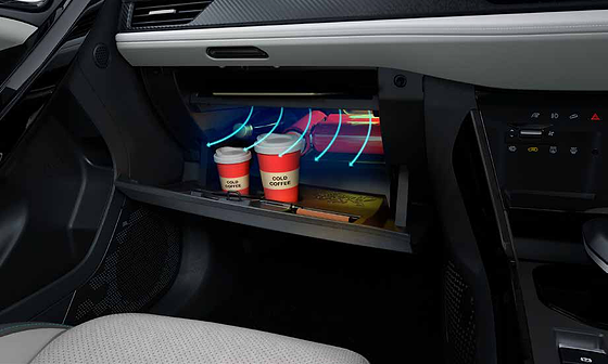 Tata Nexon EV, Cooled and illuminated glove box