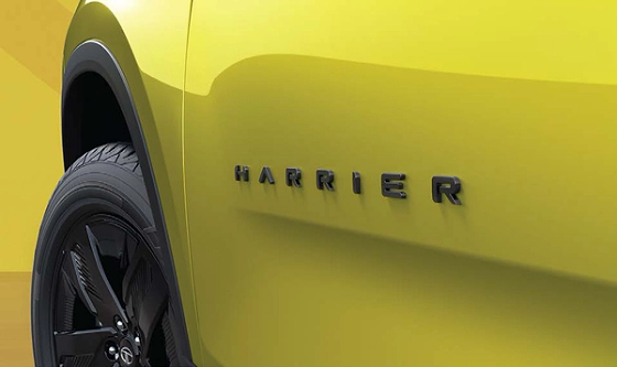 Tata Harrier, Signature Harrier mascot lettering on the doors