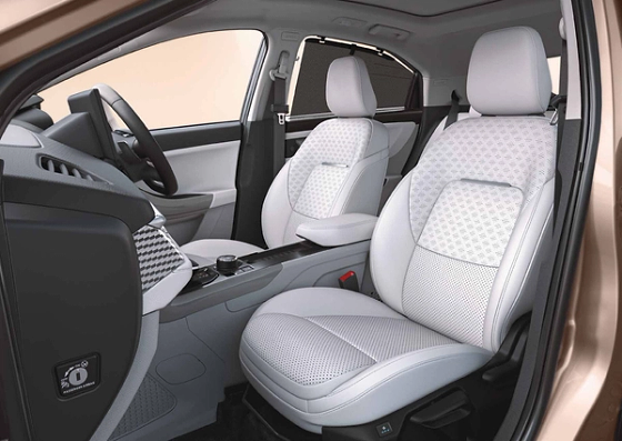 Tata Curvv, Persona-themed interiors: a light dual-tone cabin with perforated upholstery and geometric console inserts.