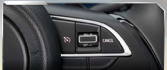 Toyota Urban Cruiser Taisor, Steering-mounted cruise control switches
