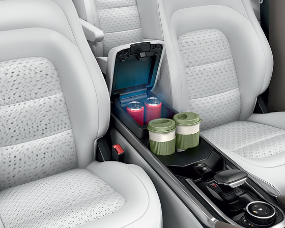 Tata Safari, Front armrest with cooled storage plus console cup holders