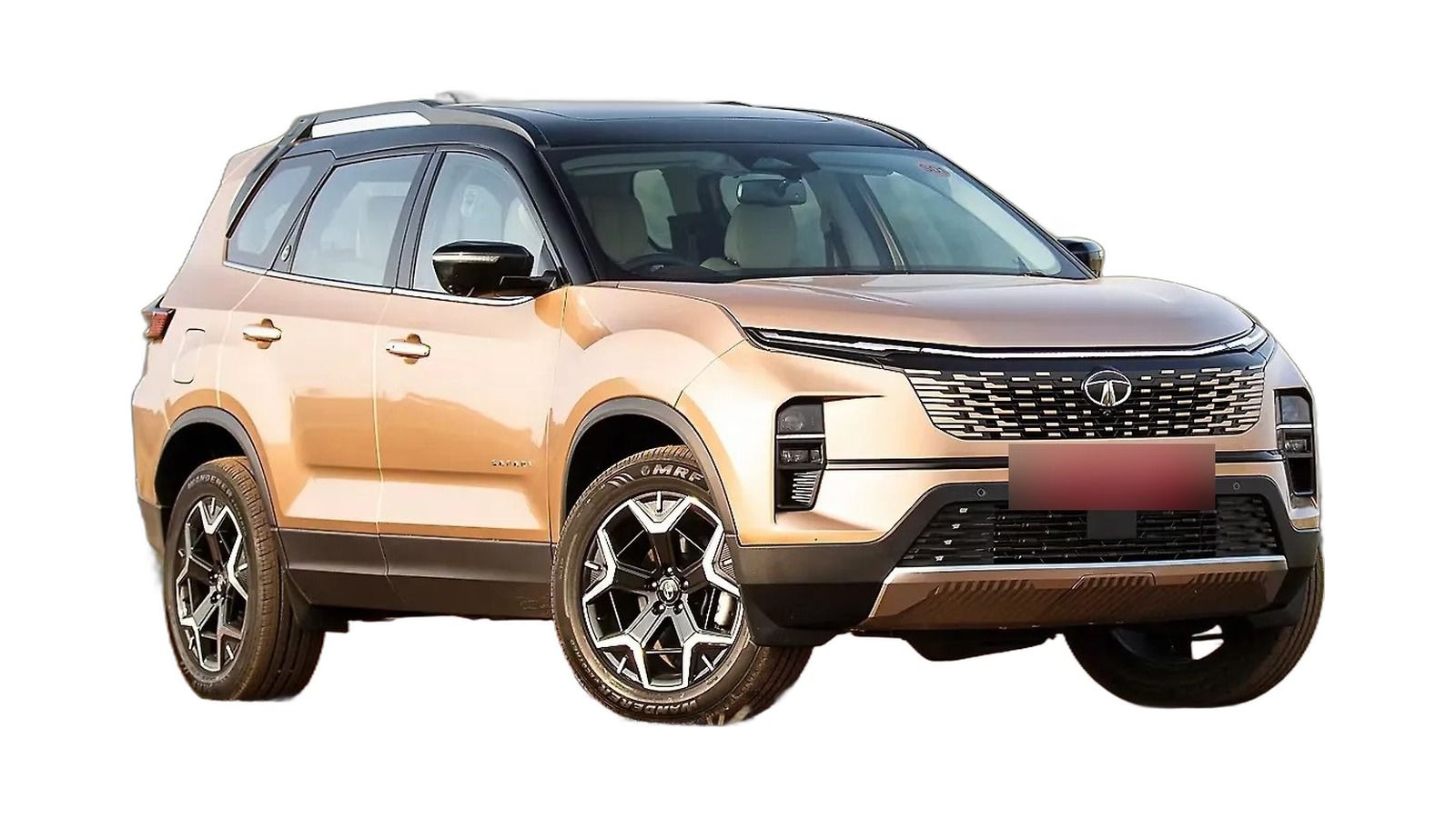 Safari EV