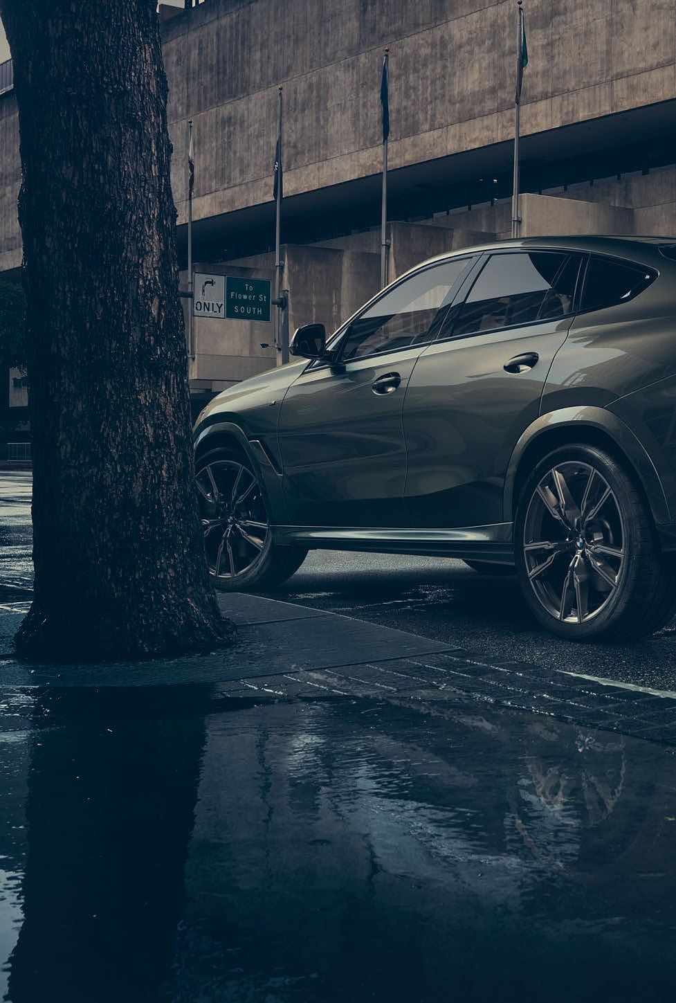 BMW X6 — Sloping coupe roofline and muscular flanks