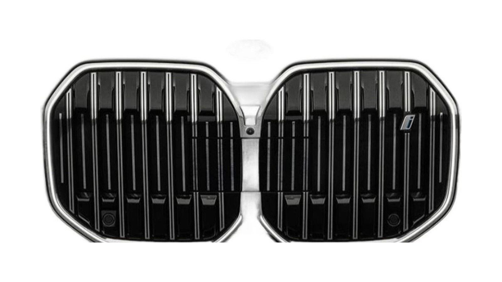 Dual black vertical-bar kidney grille with chrome trim and BMW badge.