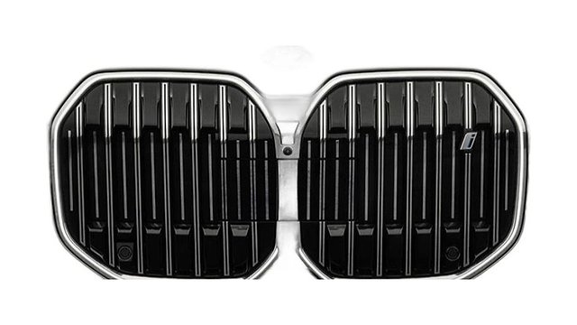 Dual black vertical-bar kidney grille with chrome trim and BMW badge.